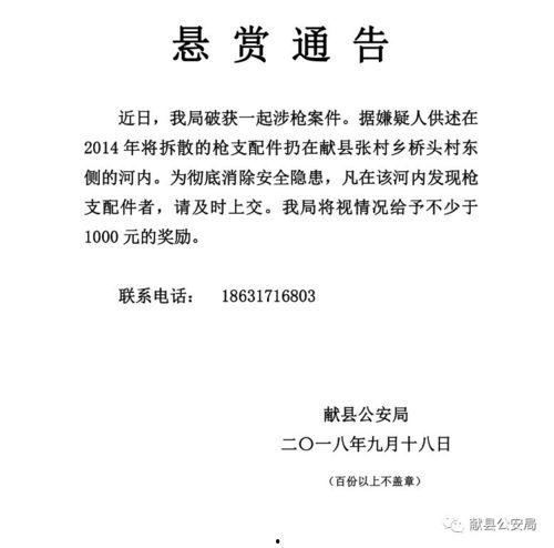 沧州高铁爆料最新消息,揭秘未来交通枢纽新蓝图