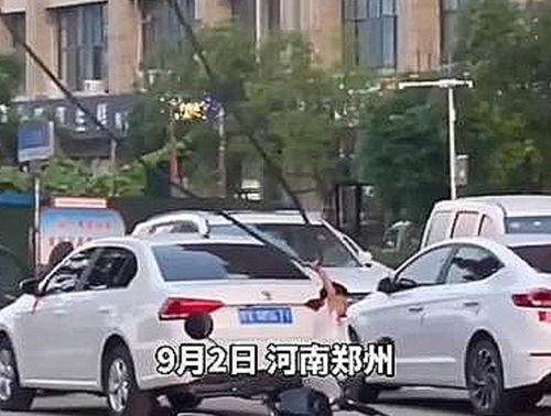 郑州爆料最新事件,揭秘XX真相，引发社会关注