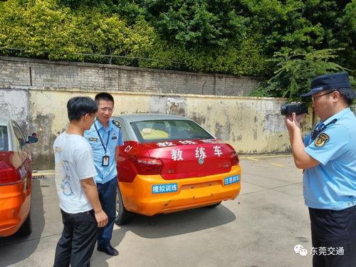 东莞市驾校爆料事件最新,学员权益与行业乱象的碰撞