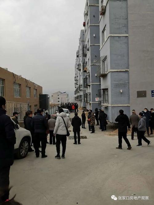 河北张家口最新爆料,揭秘神秘事件背后的真相