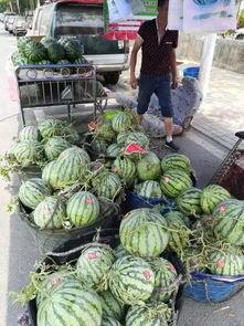 蔚县吃瓜事件最新爆料,最新爆料揭示惊人内幕