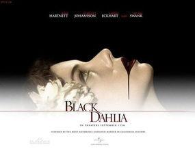 小说家紫皮最新爆料