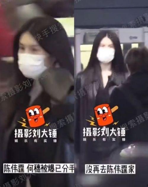 大锤爆料官宣了吗最新消息,最新消息揭晓，揭秘幕后真相