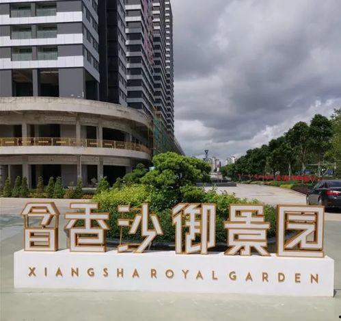 深圳爆料真实案例最新,最新案例揭示城市生活暗流涌动