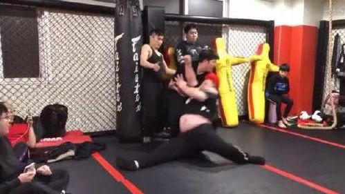 最新拳击爆料视频,神秘对决即将上演，精彩看点抢先揭秘！