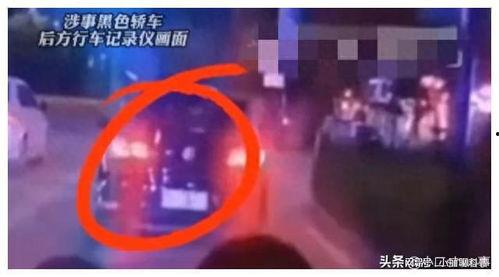 山东新学生爆料视频最新,揭秘校园内幕，引发社会关注  第2张