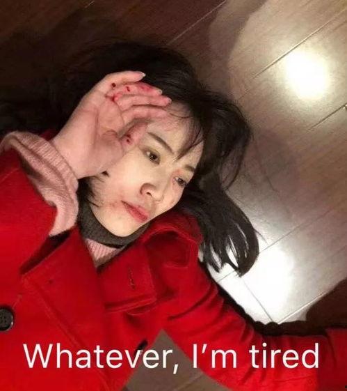 张云雷郑爽最新爆料,娱乐圈风云再起，真相揭秘！  第1张