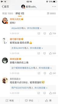 诺言最新爆料是真的吗,真相揭秘,是真是假? 第3张 诺言最新爆料是真的吗,真相揭秘,是真是假? 第3张