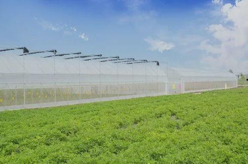 农场最新爆料 第2张 农场最新爆料 第2张